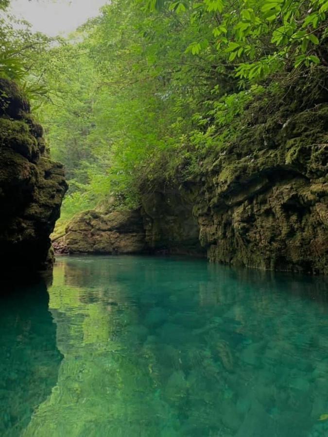 Nahei Cottage Martvili Dış mekan fotoğraf