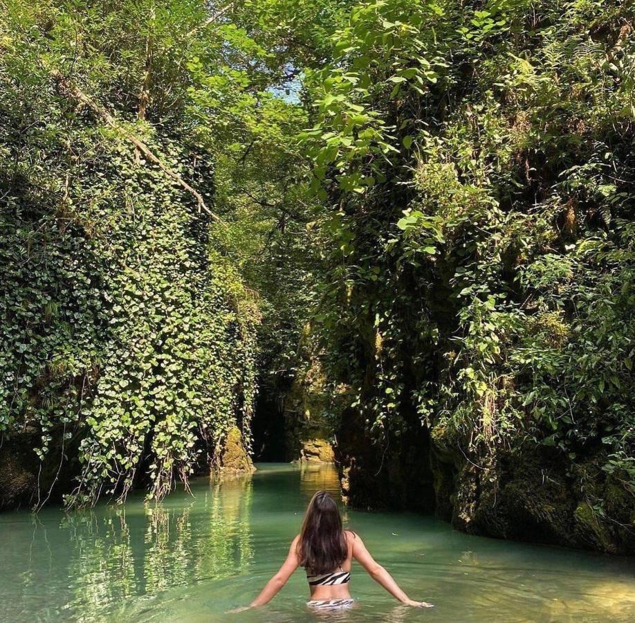 Nahei Cottage Martvili Dış mekan fotoğraf