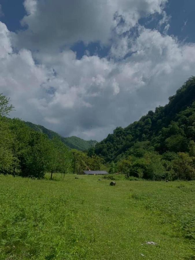 Nahei Cottage Martvili Dış mekan fotoğraf