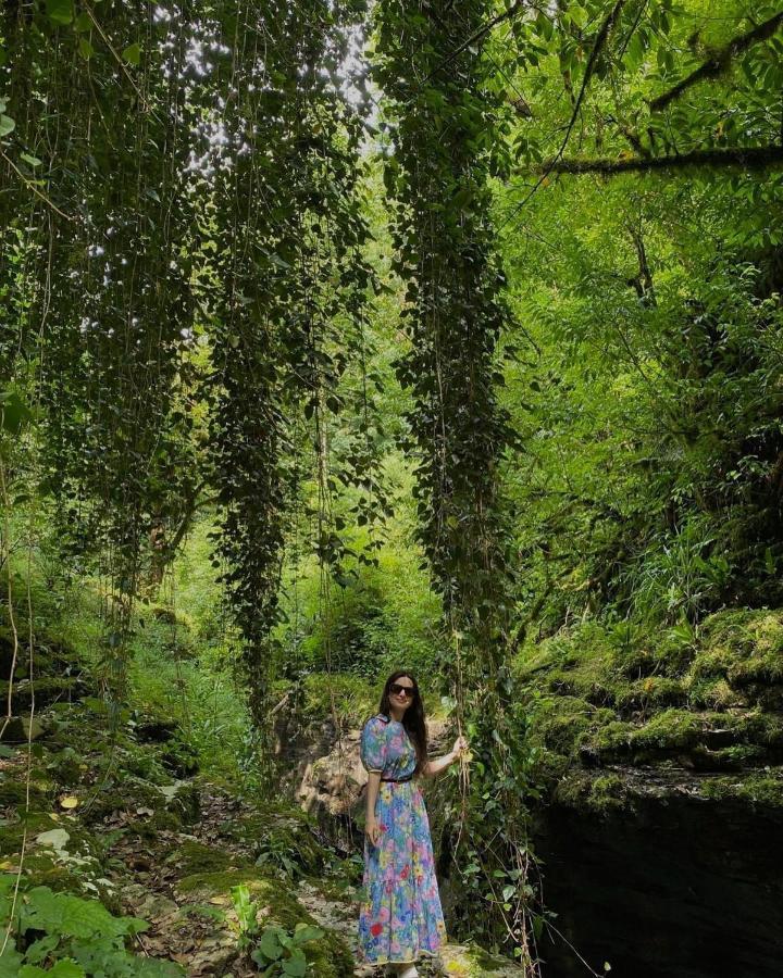 Nahei Cottage Martvili Dış mekan fotoğraf