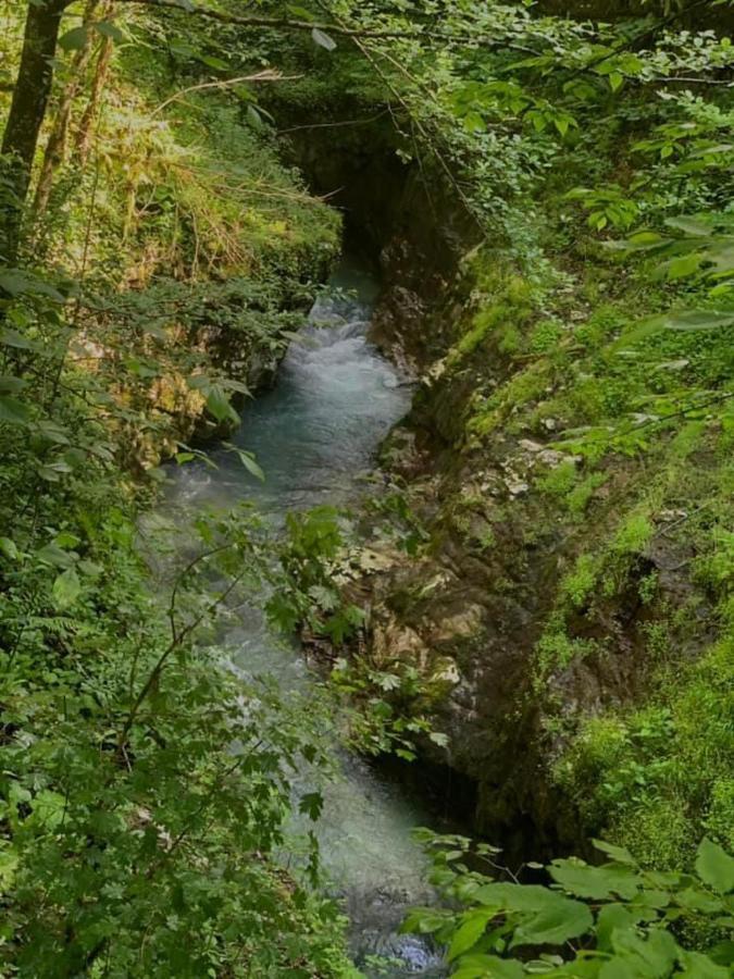 Nahei Cottage Martvili Dış mekan fotoğraf