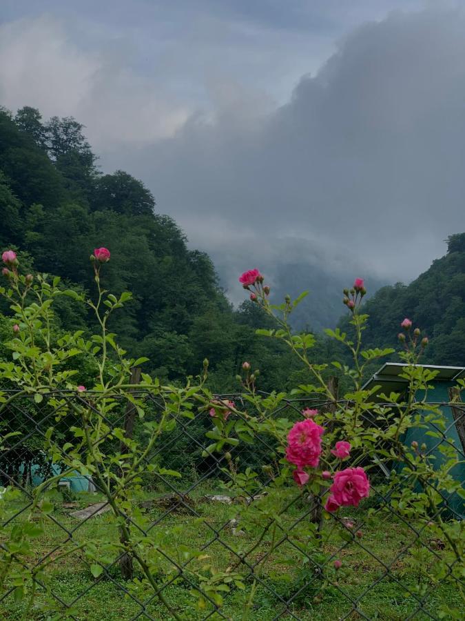 Nahei Cottage Martvili Dış mekan fotoğraf