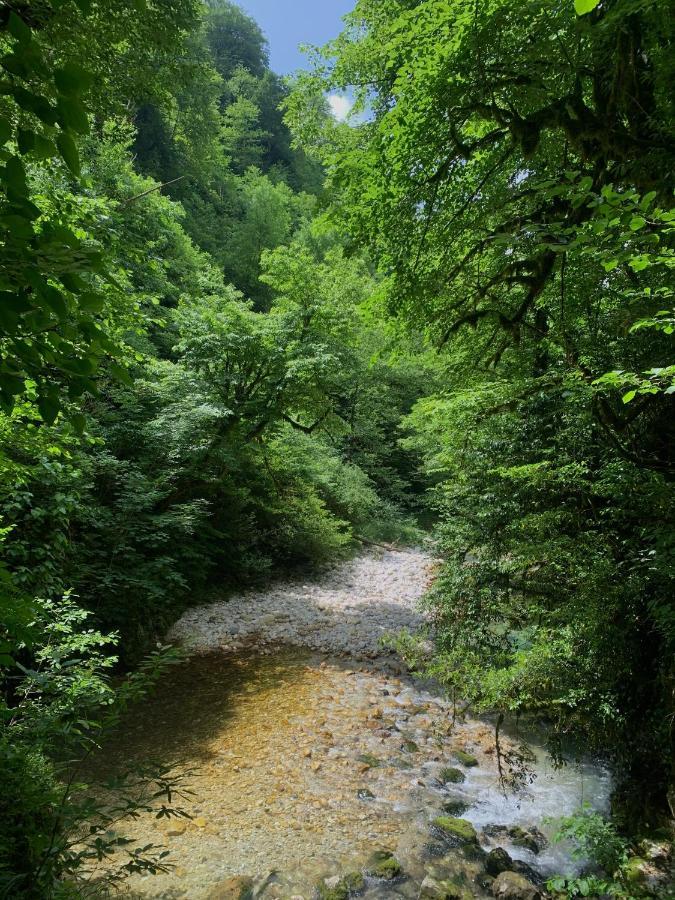 Nahei Cottage Martvili Dış mekan fotoğraf